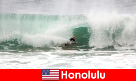 Island paradise Honolulu offers perfect waves for hobby and professional surfers