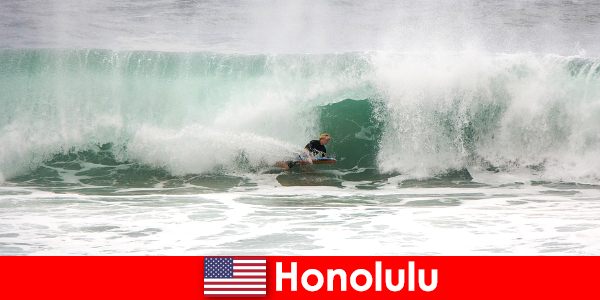 Island paradise Honolulu offers perfect waves for hobby and professional surfers