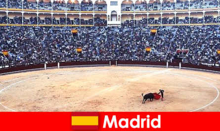Traditional festivals in Madrid amaze every stranger