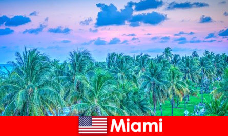 Miami breathtaking nature with great tropical wilderness