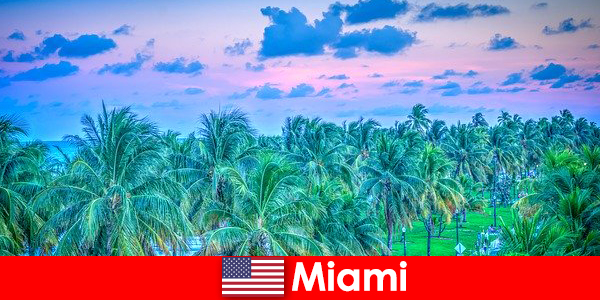 Miami breathtaking nature with great tropical wilderness