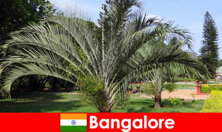 Bangalore's pleasant climate all year round is worth a trip for every foreigner