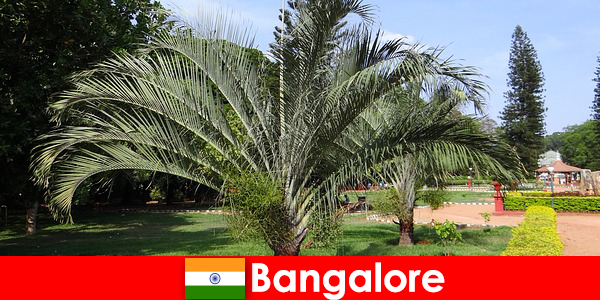 Bangalore's pleasant climate all year round is worth a trip for every foreigner