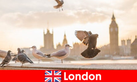 Places to visit in London for international visitors of foreign origin
