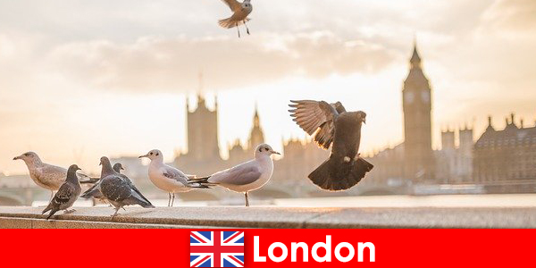 Places to visit in London for international visitors of foreign origin