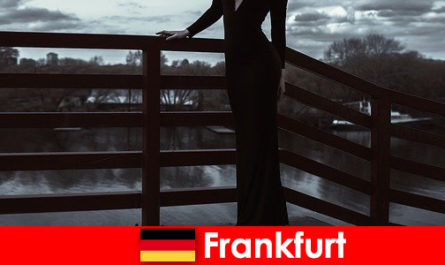 Sensual manager escorts in Frankfurt am Main pamper their clients from head to toe