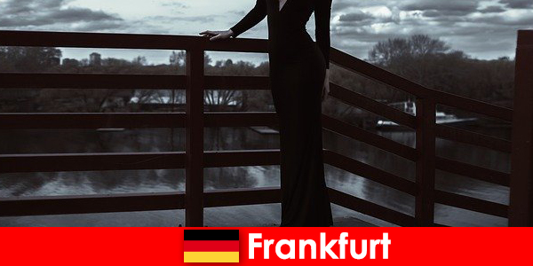 Sensual manager escorts in Frankfurt am Main pamper their clients from head to toe