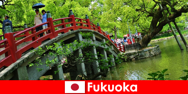 For immigrants, Fukuoka is a relaxed and international atmosphere with a high quality of life