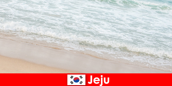 Jeju, with its fine sand and clear water, is an ideal place for a family vacation on the beach