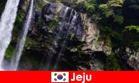 Jeju in South Korea, the subtropical volcanic island with breathtaking forests for foreigners