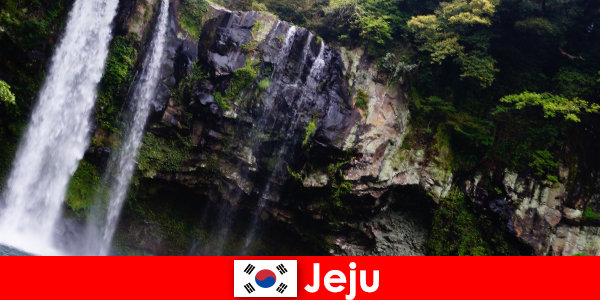 Jeju in South Korea, the subtropical volcanic island with breathtaking forests for foreigners