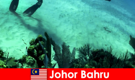 Adventure activities in Johor Bahru Diving, climbing, hiking and much more