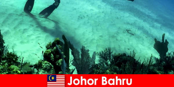 Adventure activities in Johor Bahru Diving, climbing, hiking and much more