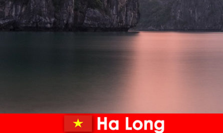 Ha long its world-popular bay is frequently visited by foreigners