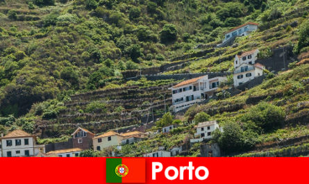 Porto vacation destination for wine lovers from all over the world