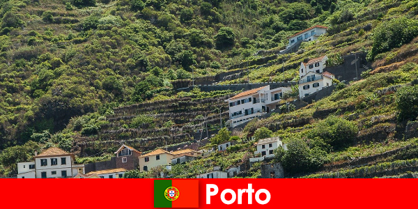 Porto vacation destination for wine lovers from all over the world