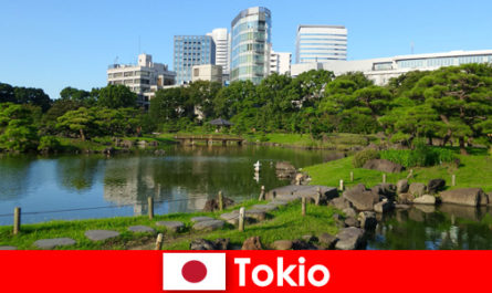 Tourists enjoy old and new traditions in Tokyo Japan up close