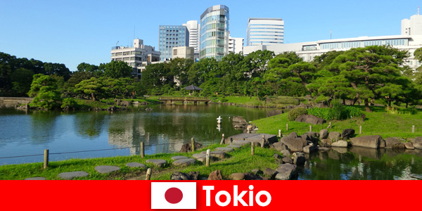 Tourists enjoy old and new traditions in Tokyo Japan up close