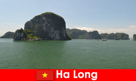 Boat tours for vacationers to the rock giants in Ha Long Vietnam