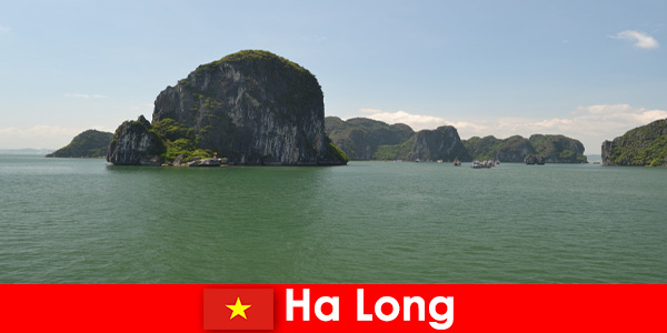 Boat tours for vacationers to the rock giants in Ha Long Vietnam