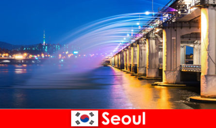 Seoul in Korea is a city of lights that attracts foreigners