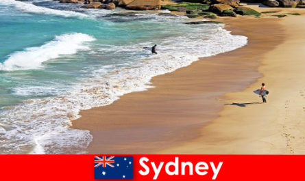 Surf tourists enjoy the ultimate kick in Sydney Australia