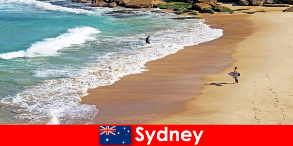 Surf tourists enjoy the ultimate kick in Sydney Australia