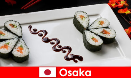 Osaka Japan for Strangers a Food Tour of the City