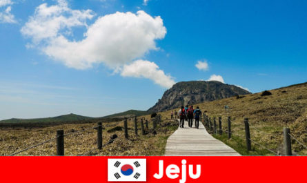 Tourists hike through the fantastic natural landscape in Jeju South Korea