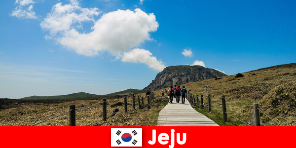 Tourists hike through the fantastic natural landscape in Jeju South Korea