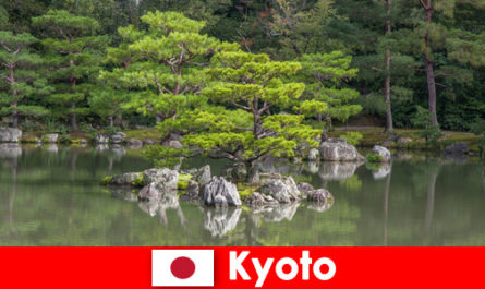 Japanese gardens invite foreign guests for relaxing walks in Kyoto