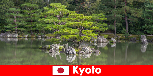 Japanese gardens invite foreign guests for relaxing walks in Kyoto