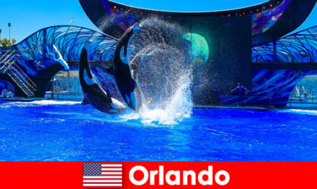 Book individual travel for foreigners in Orlando United States