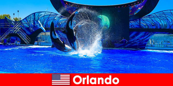 Book individual travel for foreigners in Orlando United States