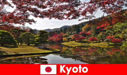 Trip abroad to Kyoto Japan to see the famous autumn foliage coloring