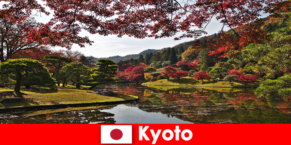 Trip abroad to Kyoto Japan to see the famous autumn foliage coloring