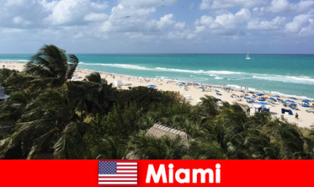 Palm trees sandy waves await long-term vacationers in the paradisiacal Miami United States