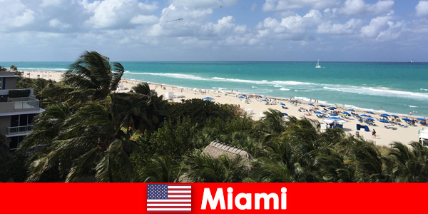 Palm trees sandy waves await long-term vacationers in the paradisiacal Miami United States