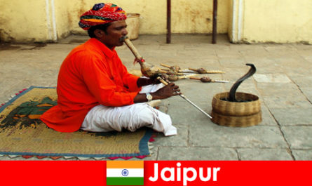 In Jaipur India, vacationers experience snake dancing and entertainment in the busy streets
