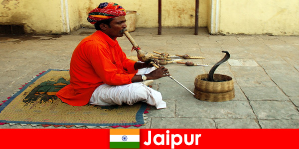 In Jaipur India, vacationers experience snake dancing and entertainment in the busy streets