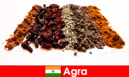Tour for tourists into the refined kitchen of spices in Agra India