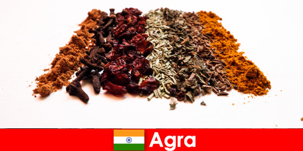 Tour for tourists into the refined kitchen of spices in Agra India