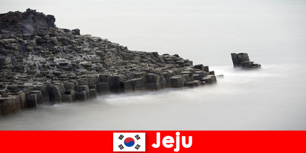 Foreigners are exploring popular excursions in Jeju South Korea