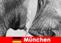 Special trip for visitors to the most original zoo in Germany, Munich