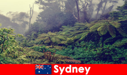 Exploration trip to Sydney Australia in the impressive world of the national parks