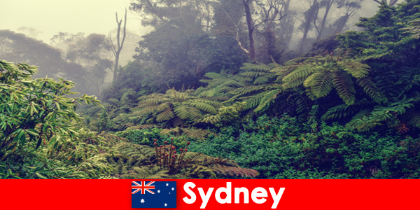 Exploration trip to Sydney Australia in the impressive world of the national parks