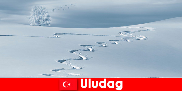 Uludag Turkey book a vacation trip with the family in the beautiful ski area