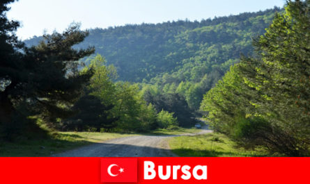 Bursa Turkey offers organized excursions for hiking tourists in the beautiful nature