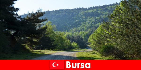 Bursa Turkey offers organized excursions for hiking tourists in the beautiful nature