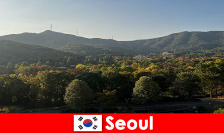 Popular vacation packages for groups to Seoul South Korea